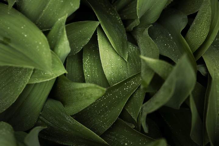 Chaussures tendance Châteauneuf-les-Martigues